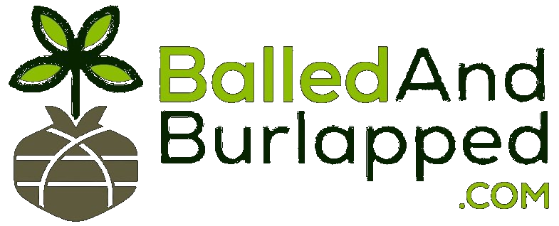 BalledAndBurlapped.com